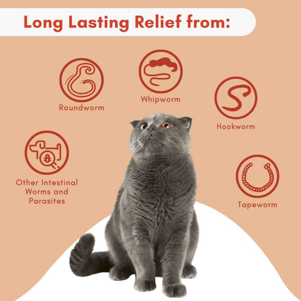 Broad Spectrum Dewormer for Cats and Kittens F925