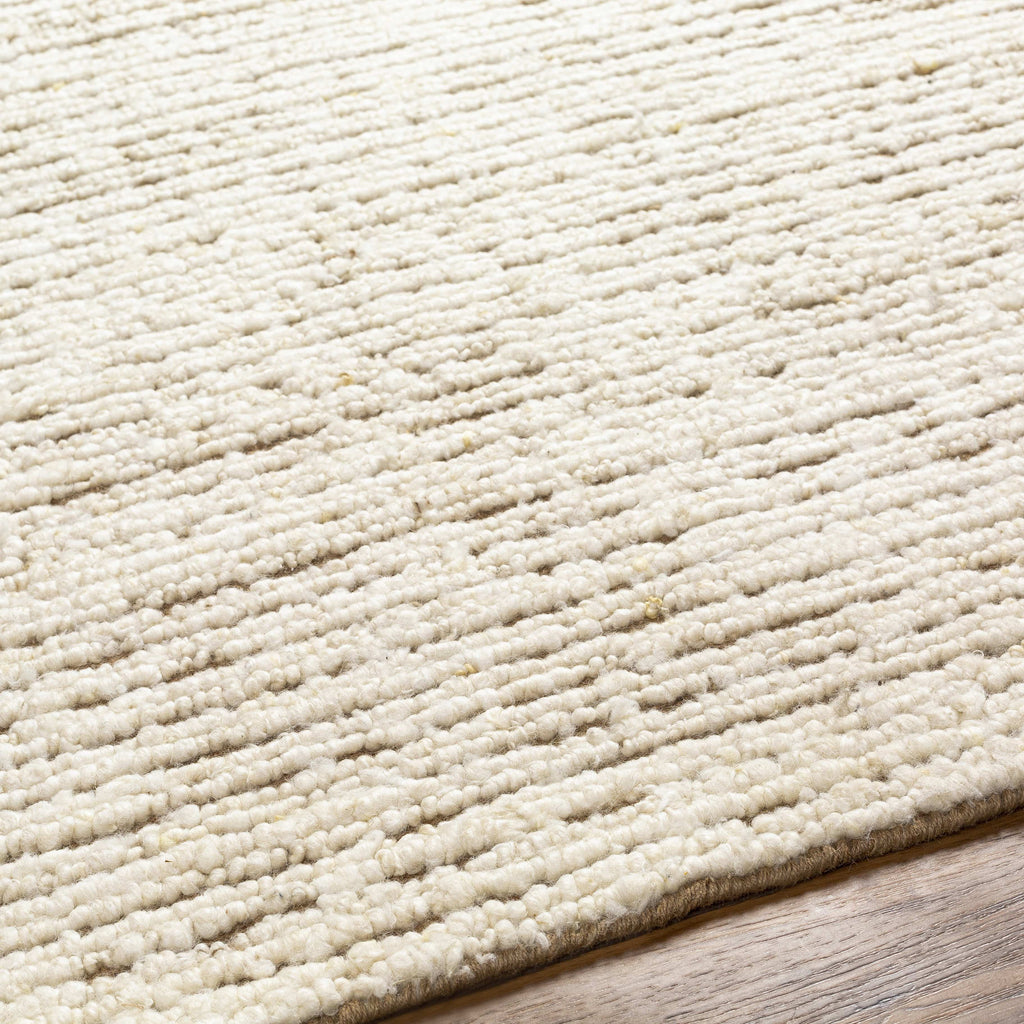 2x3 Beige Modern Area Rug Z7372