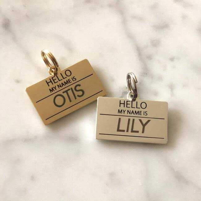 Hello My Name is ID Tag A1008