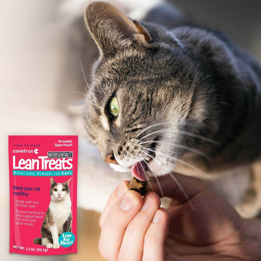 Soft Cat Treats V734