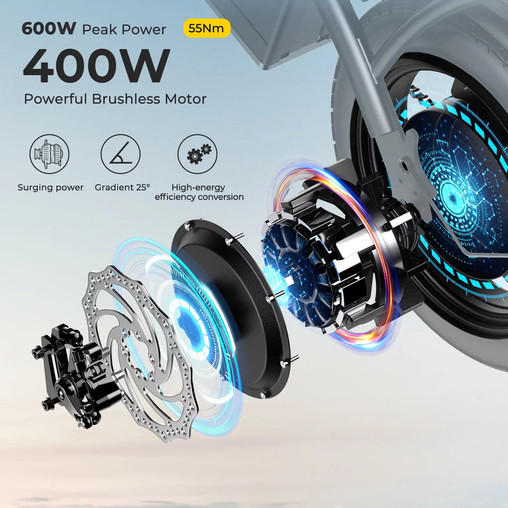 Folding Electric Bike 36V 10Ah 400W T94328