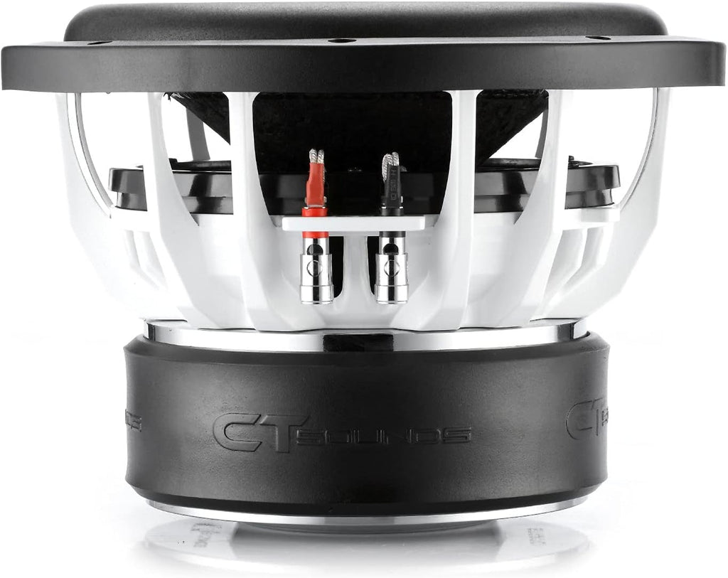 10 Inch Car Subwoofer Dual 2 Ohm T94428