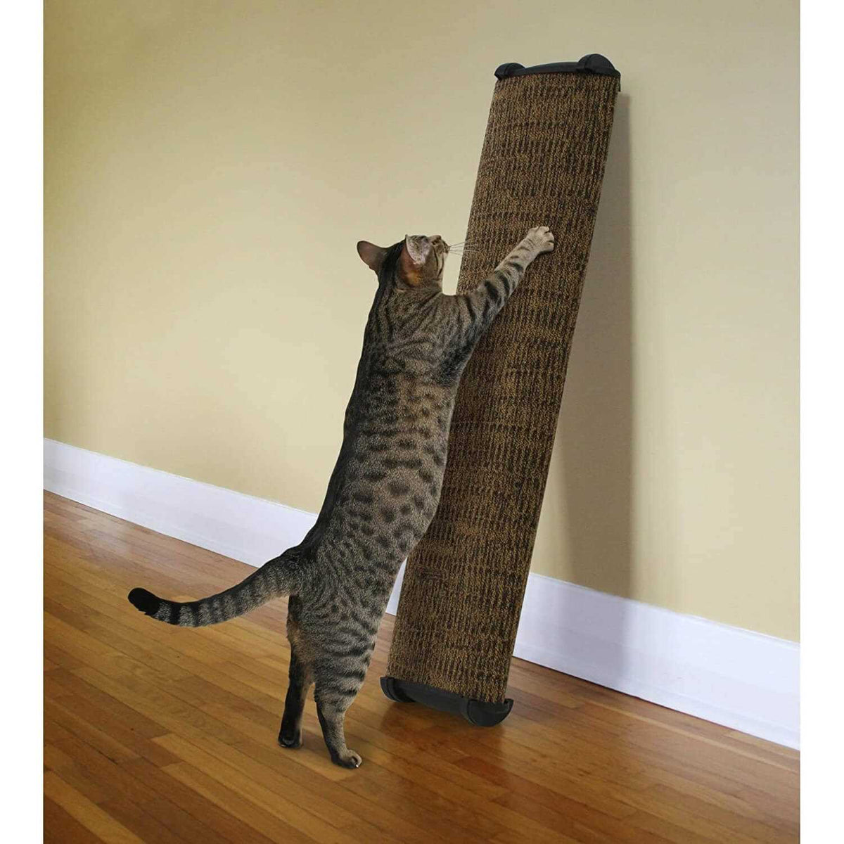 Scratch Post 38 inch F481870