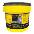 Vitamin B-1 Horses Diet 4 lbs R31741