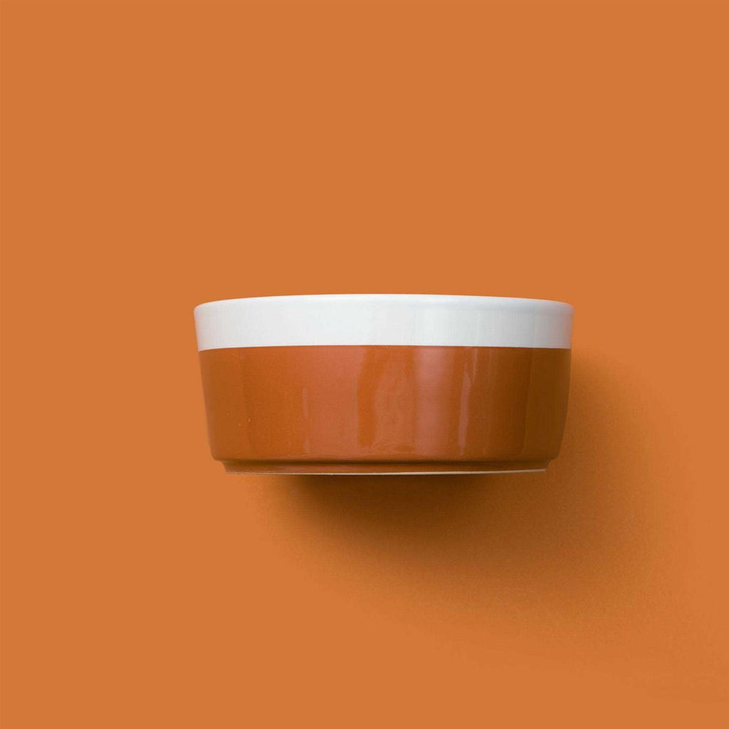 Ceramic Dog Bowl C248715