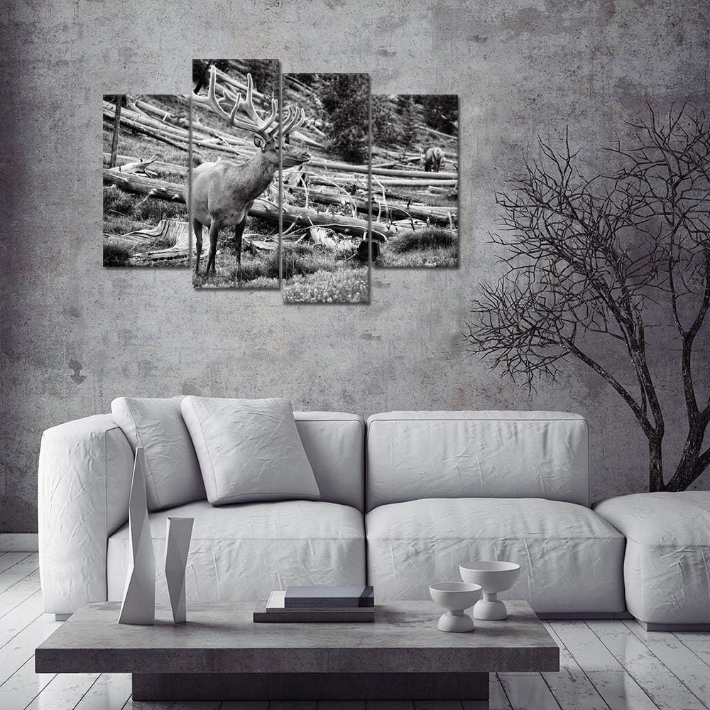 Black and White Deer Canvas Wall Art 4 Pieces C96808