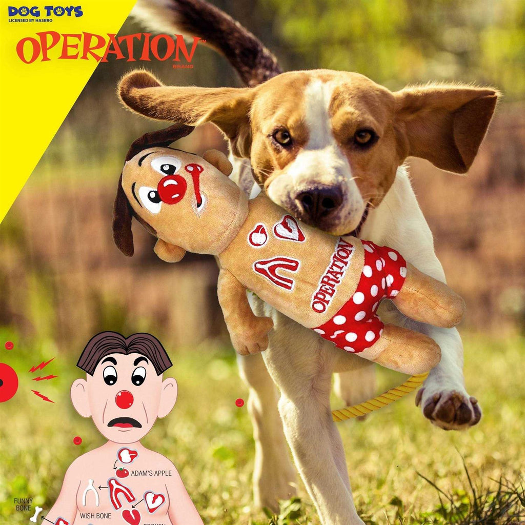 Rope Dog Toy V82165