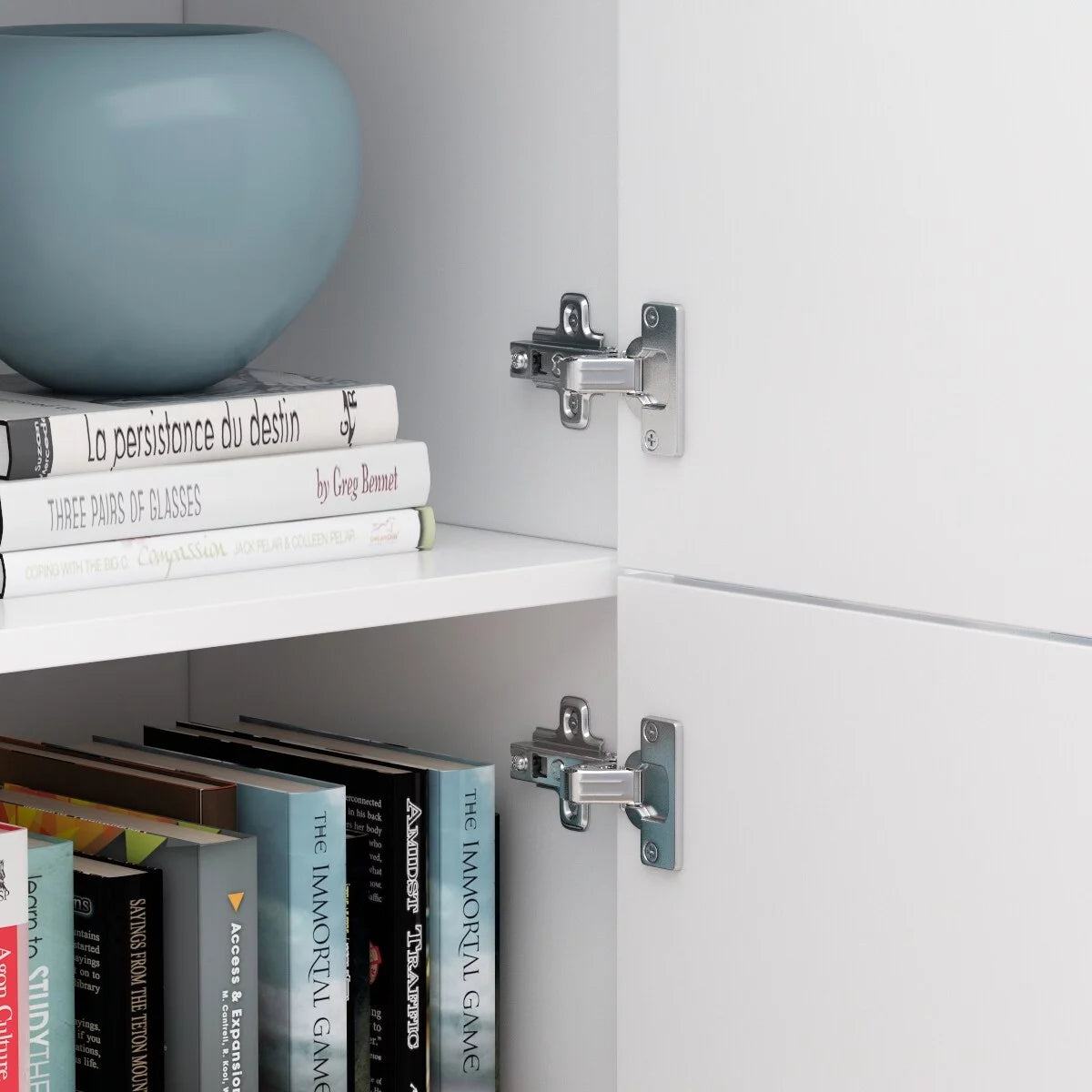 Tall Storage Cabinet with Doors and Adjustable Shelves J182