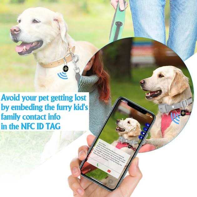 Remote Training Collar for Dogs T527213