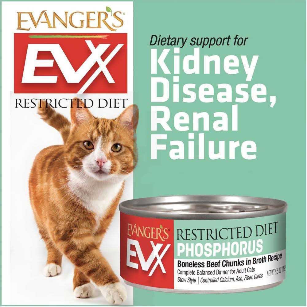 Beef Tips with Gravy Canned Cat Food E667748