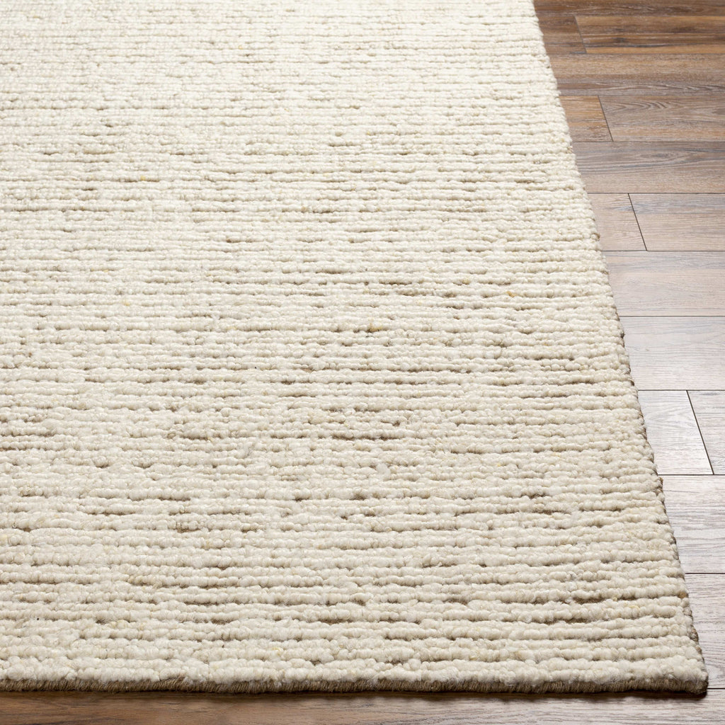 2x3 Beige Modern Area Rug Z7372
