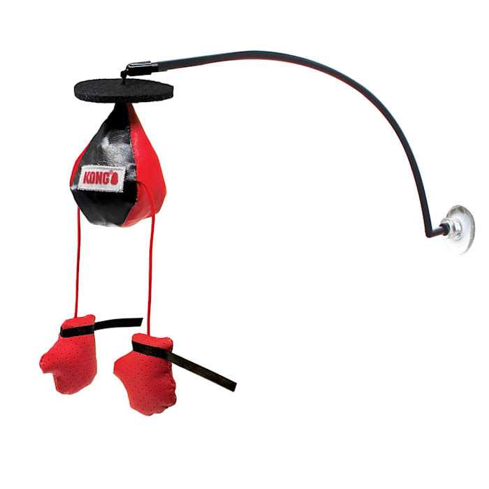 Window Cat Toy Q1721