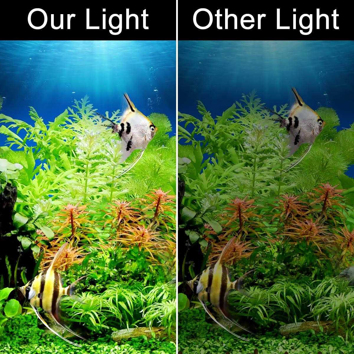 6W 12 Led Aquarium Light H1594