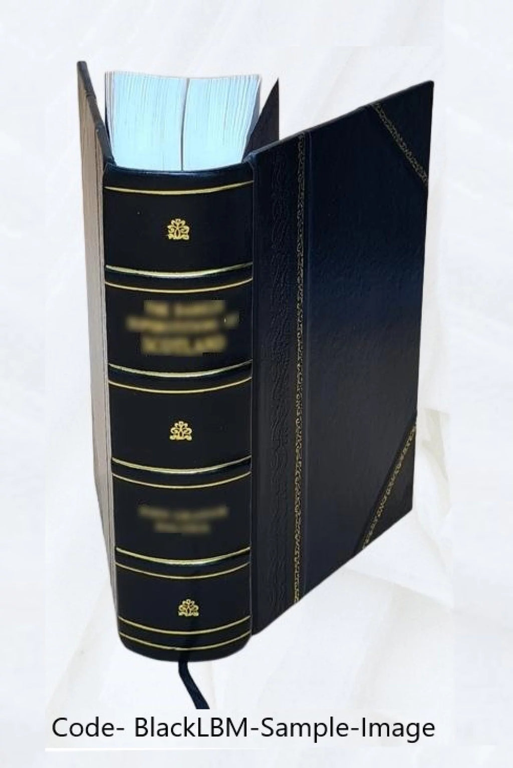 Storia di Pio VII X6728