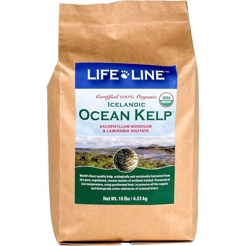 Ocean Kelp Dog & Cat Supplement O3269