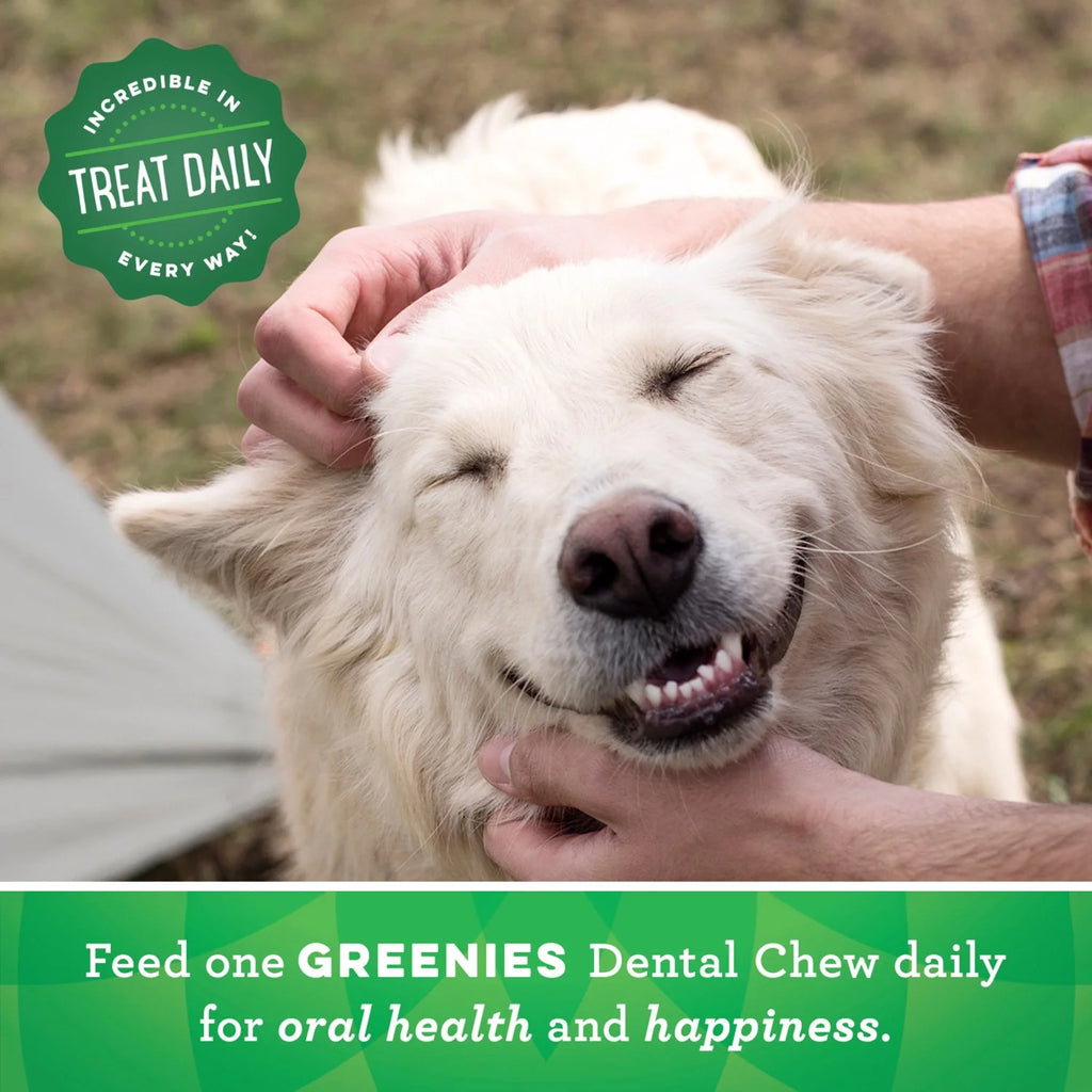 Original Flavor Dental Treats for Dogs 54 oz H285752