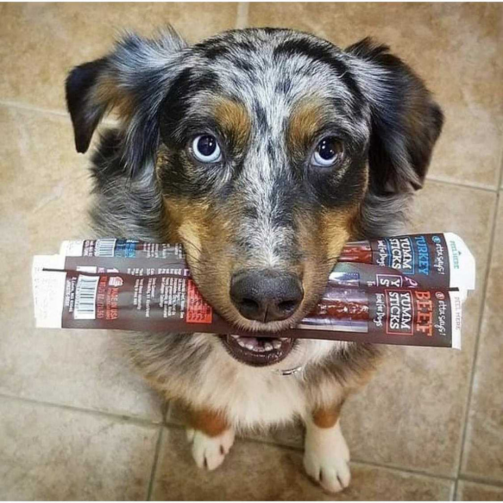 Beef Dog Treats Y25639