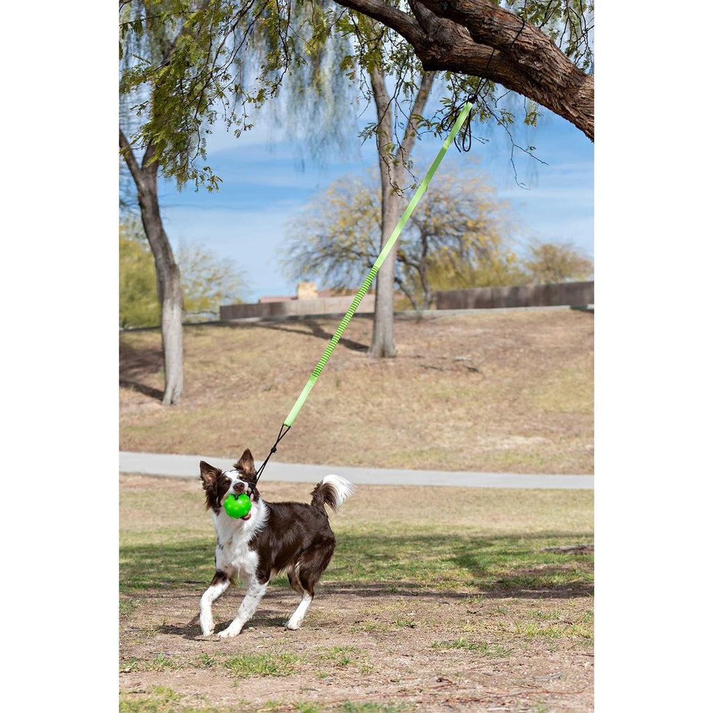 Dog Toy C575