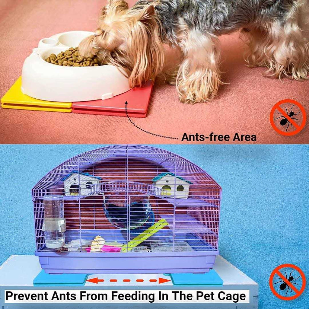 Ant Proof Pet Bowl G702574