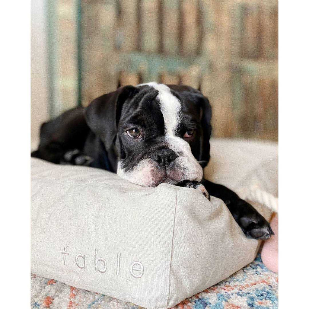 Dog Bed B875924