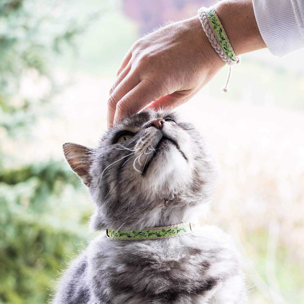 Cat Collar Breakaway H155395