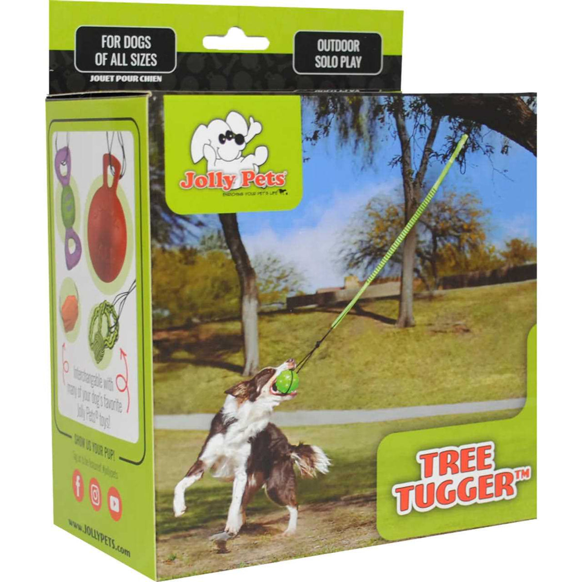 Dog Toy C575