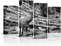 Black and White Deer Canvas Wall Art 4 Pieces C96808