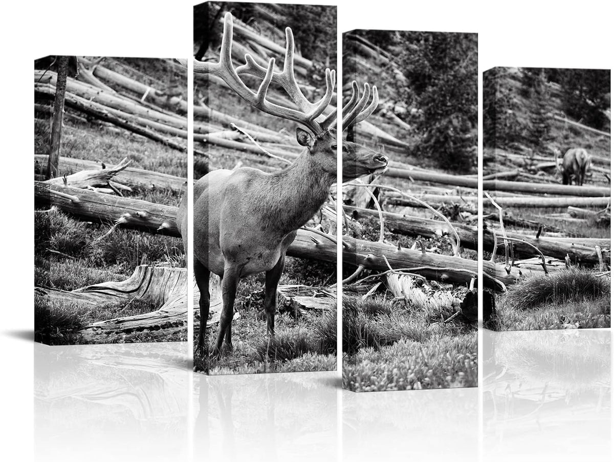 Black and White Deer Canvas Wall Art 4 Pieces C96808