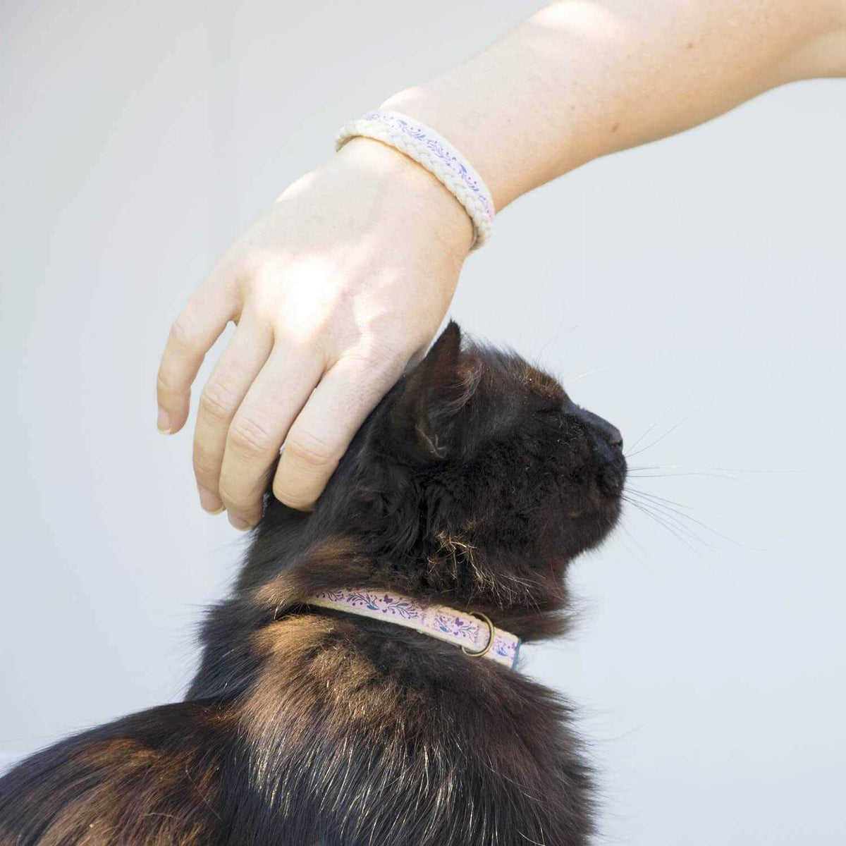 Cat Collar Breakaway H155395