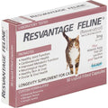 Feline J3764