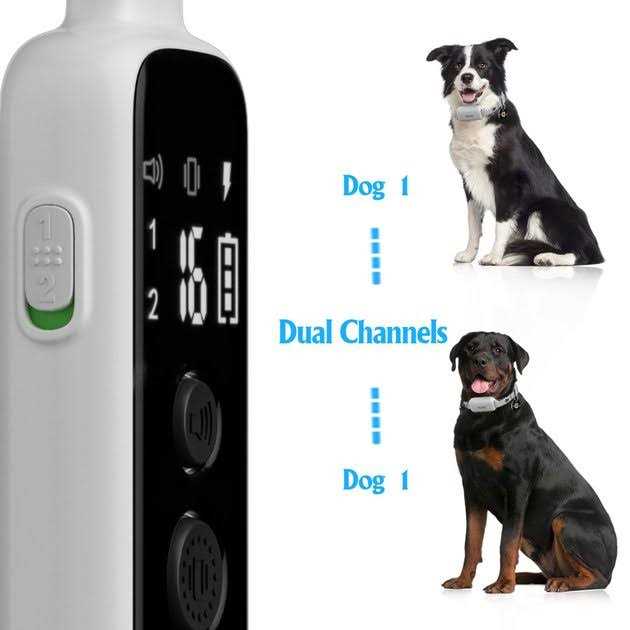 Remote Training Collar for Dogs T527213