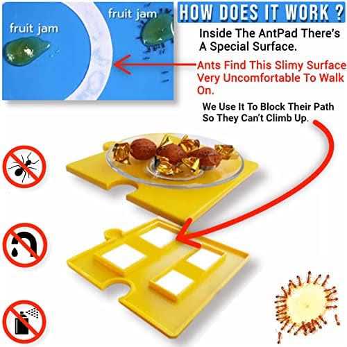 Ant Proof Pet Bowl G702574