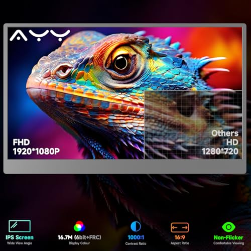 15.6 Inch 1080P IPS Portable Monitor O292