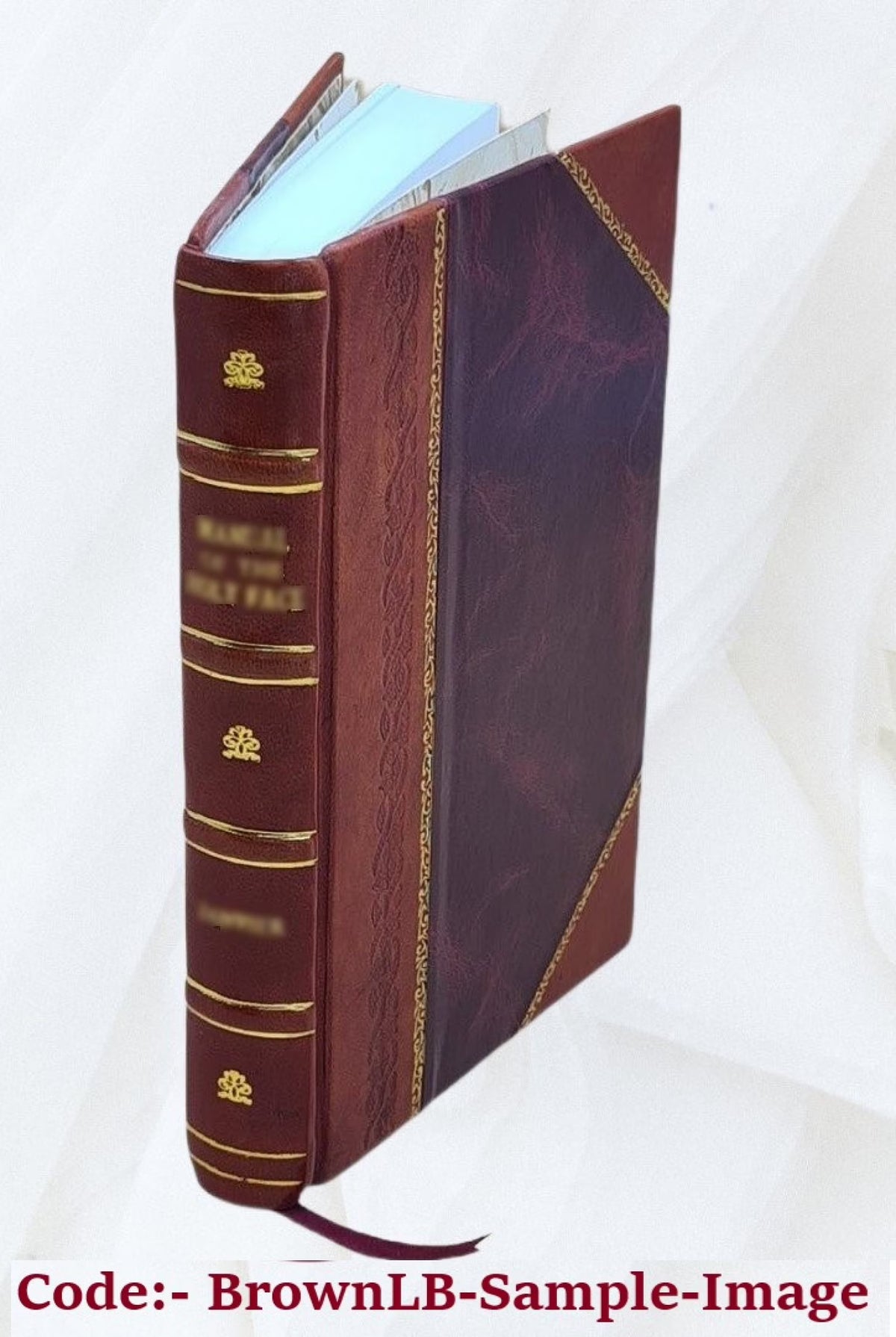Leather Bound Book N9948