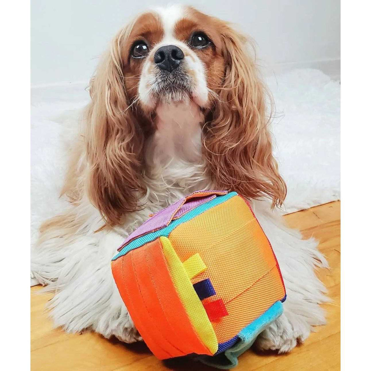 Cube Dog Puzzle Toy L9583