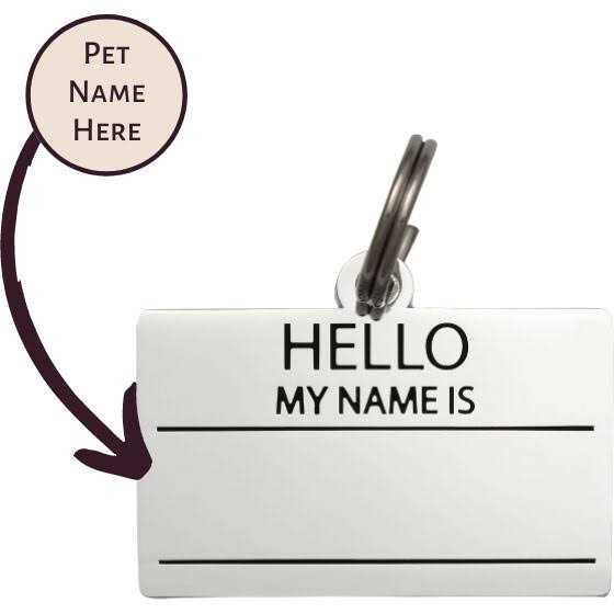 Hello My Name is ID Tag A1008