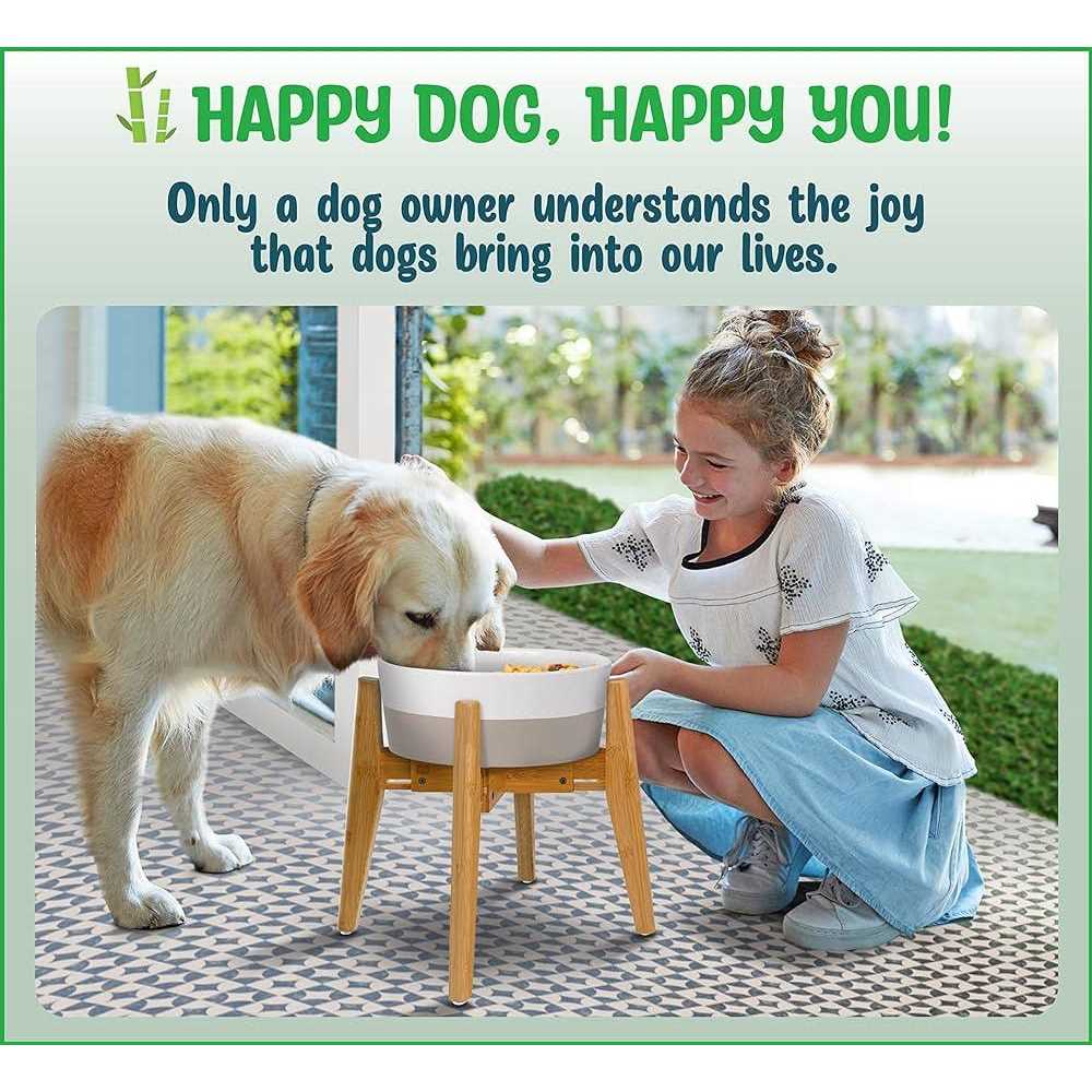 Adjustable Dog Bowl Stand Y304800