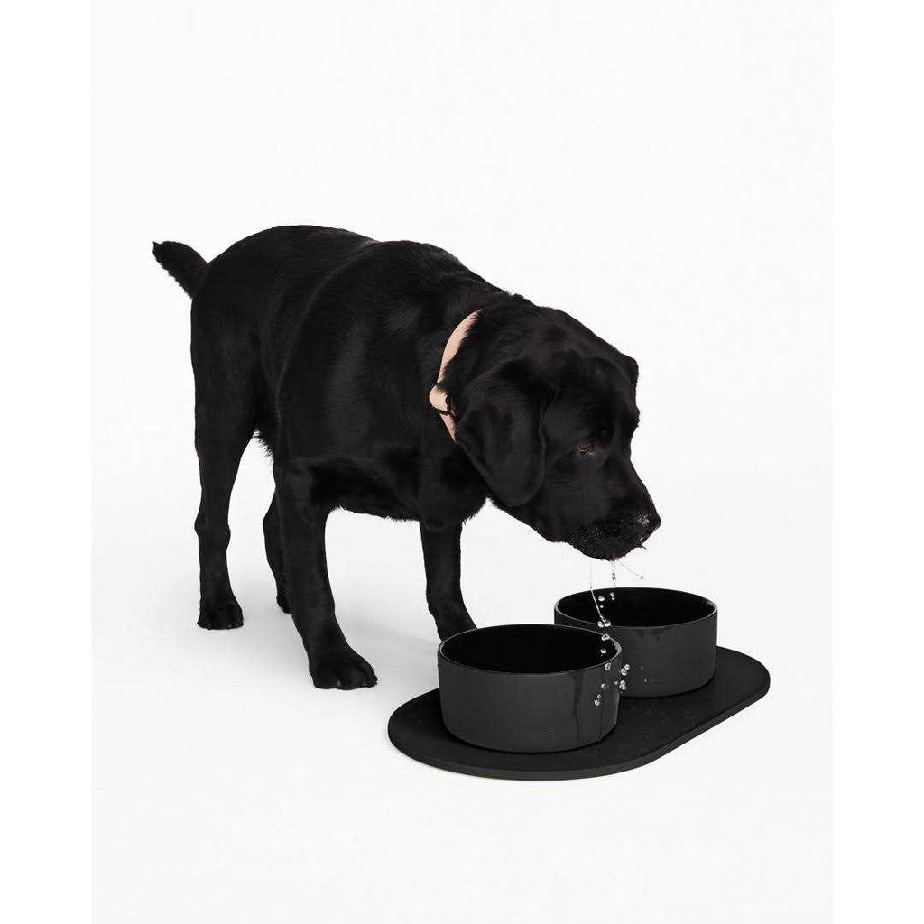 Dog Bowl Mat R886