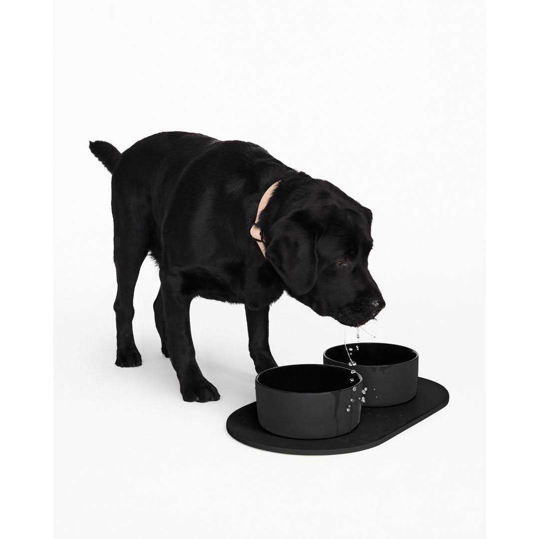 Dog Bowl Mat R886