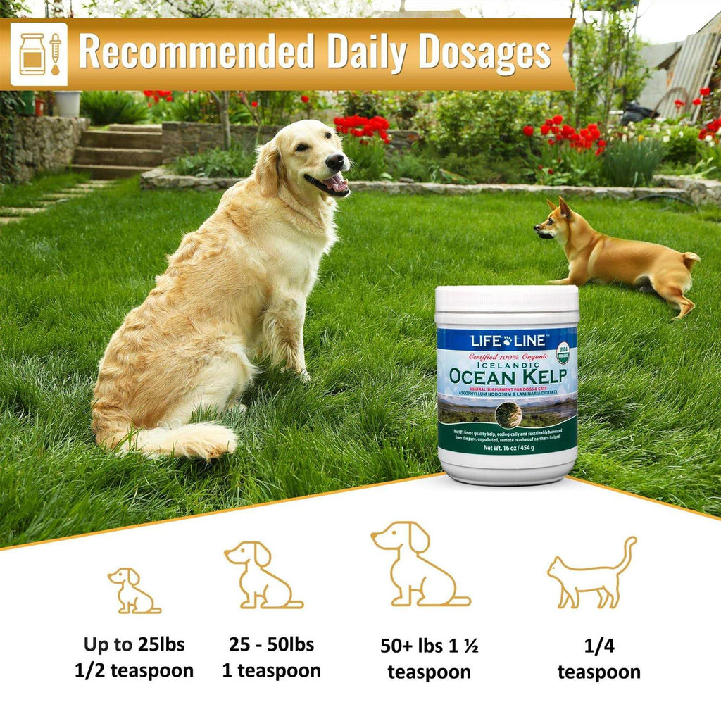 Ocean Kelp Dog & Cat Supplement O3269
