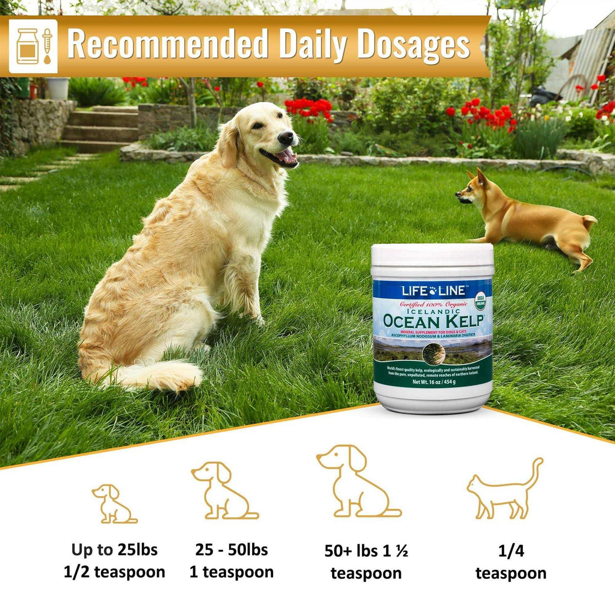 Ocean Kelp Dog & Cat Supplement O3269