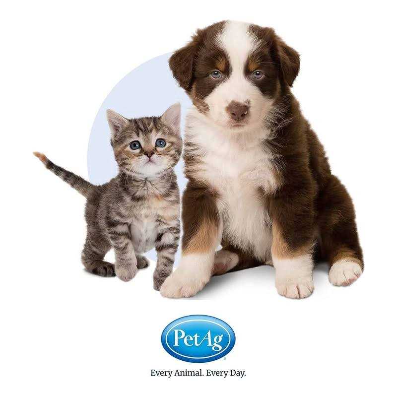 High Calorie Gel for Cats I70839