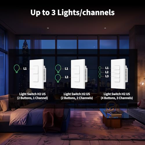 Smart Light Switch 2 Buttons 2 Channels X904