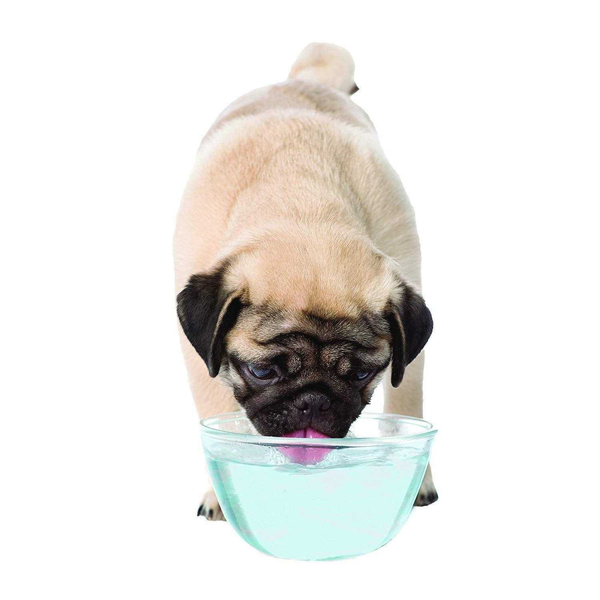 Liquid Tartar Remover Water Additive for Dogs T734345