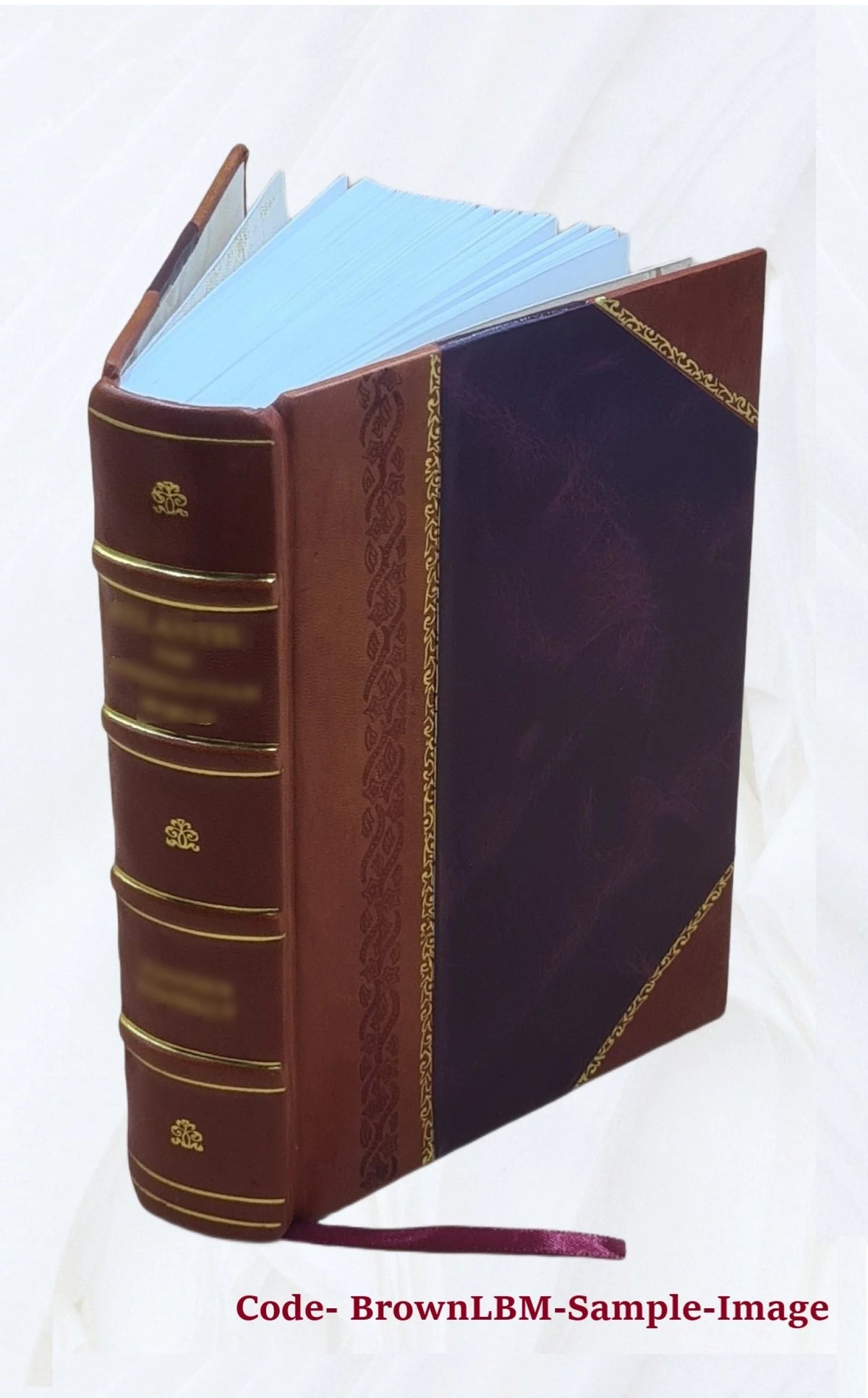 Storia di Pio VII X6728