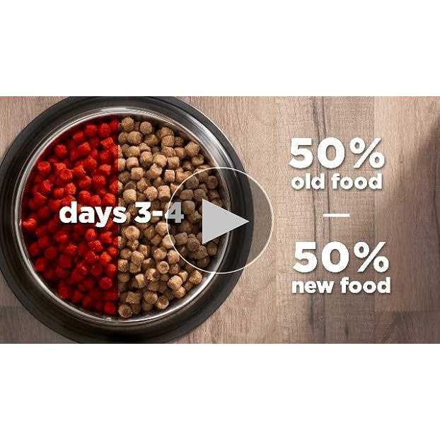 Chicken Dry Cat Food D4804