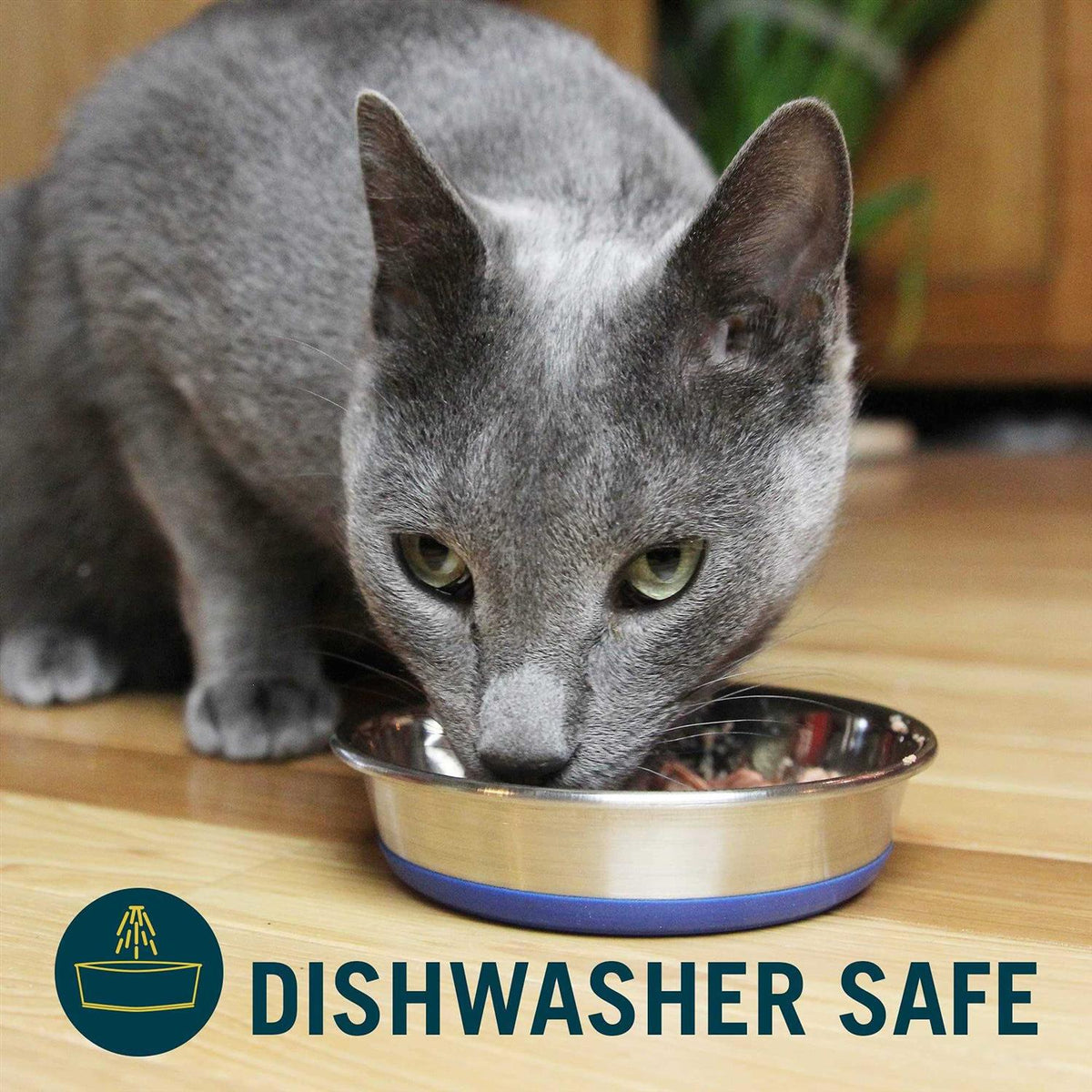 Stainless Steel Cat Dish Z9270