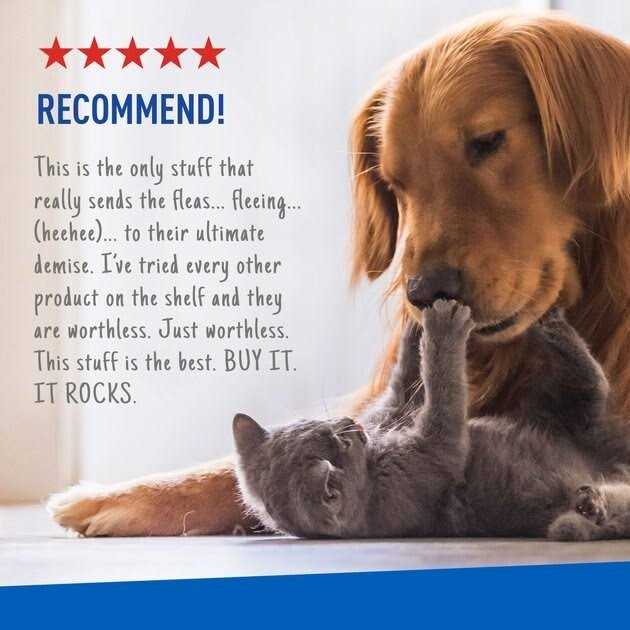 Flea Tick Spray Y569