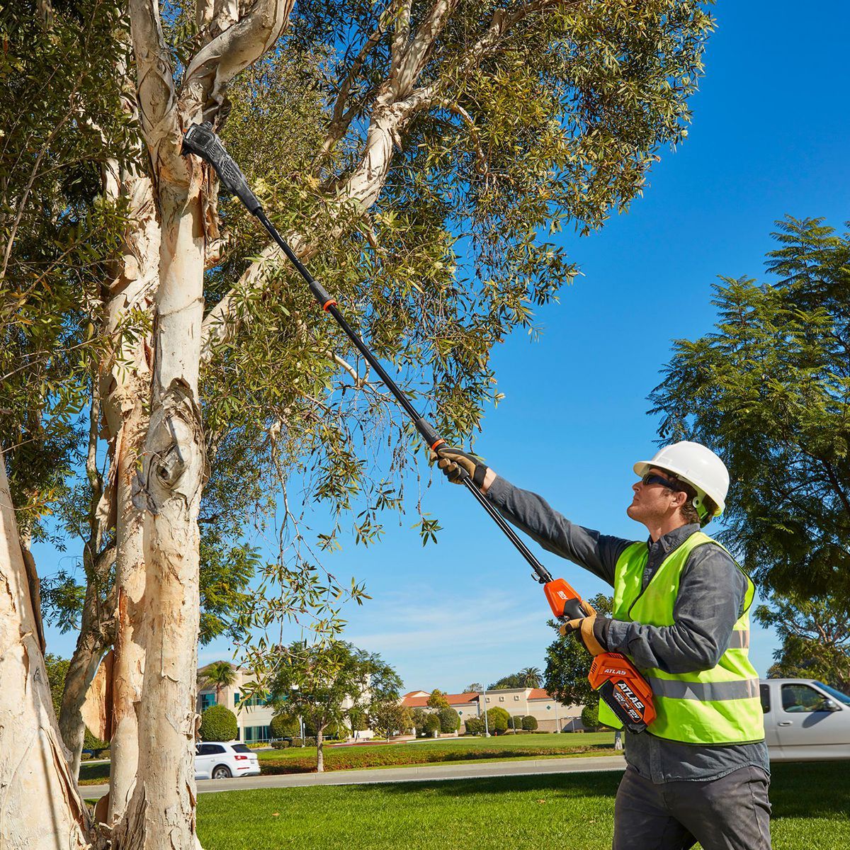80V Brushless Cordless 10 in. Pole Saw B28849