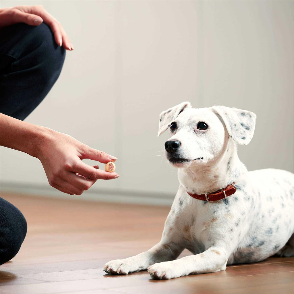 Dog Treats Q942308